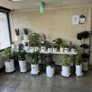 (주)브라더컴퍼니