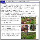 대풍원예 | 고추 모종 관리 콩,팥 종자신청 장미접목 주간농사정보