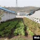 78만구호 이미지