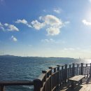 가을 사랑에 길 구봉도 해솔길에 푹 빠졌다 이미지