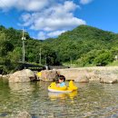 횡성 산들에 청정민박 | 횡성 병지방계곡 캠핑장 차박 후기(강원도 애견 동반 숙소)