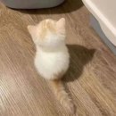 한우축산 식당 이미지
