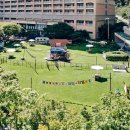 월드당구까페 | [강아지 동반 여행] 소노펫 홍천 비발디파크, 쪼꼬와 채채 친구네가 함께한 1박 2일 완벽 힐링 후기!