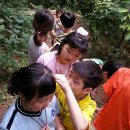 대천리초교 이미지