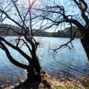 울주(울산) 이미지