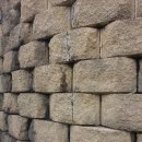 대교초교 이미지