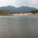 민들레장 이미지