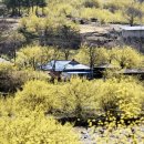 구례로선 이미지