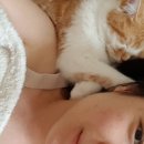 최오목
