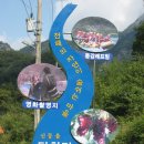 정선아리아리민박 이미지