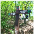 전남 보성군 겸백면 사곡리 초암산576m 산행 2016.5/4 이미지