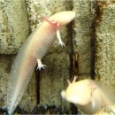 섬진강어류생태관 이미지