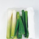 성애문구 이미지