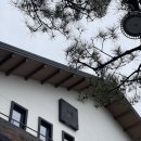카페늘봄 - 서구 한밭대로 705 | 카페늘봄