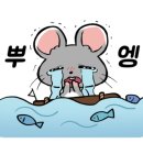 반려켄넬 네이버블로그