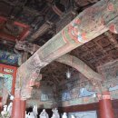 신흥사 구 대웅전 단청반자 이미지