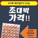 소아빠돼지엄마 이미지