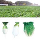 제일사슴농장 이미지