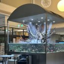 더하루 | 담양 대형 수족관 카페 더하루 솔직 후기 아기랑 가기 좋은 곳