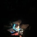 노마드인 강릉 이미지