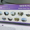 밤밭 | 강아지 산책 밤밭 청개구리 공원 후기