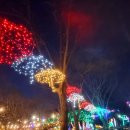 1월21일 섣달그믐날에 다녀 온, 신구대 꽃빛축제 이미지