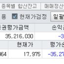 하닉레버리지 etf 50% 손실 이미지