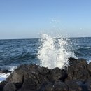 대흥점현대자동차 | 장래희망: 놀고잽이