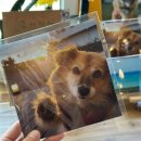 남제주새마을금고 제1분사무소 | 제주애월읍맛집 연화키친 귀여운 공간에서 즐기는 통오징어 치즈 떡볶이