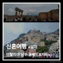 올리브영양산남부 | 이탈리아, 스위스 신혼여행 4일차. 로마 남부 투어 후기(폼페이, 포지타노)