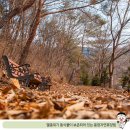 용현자연휴양림 이미지