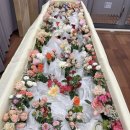 더조은요양병원 이미지