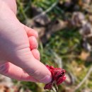 호준농장 이미지