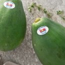 신기먹방 이미지