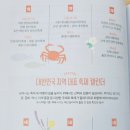 도개스파 이미지