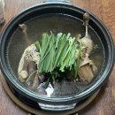 숲속의오리 이미지