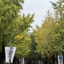 아뜰리에어린이집 | 한암동 정동점 둘째 돌잔치 / 아뜰리에데네쥬 돌상 / 조에스냅