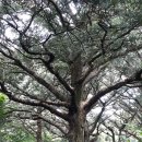 새천년농장 이미지