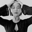 다채 이미지