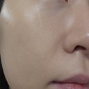 고운여자화장품 | [화장품] 데코르테 루스 파우더 6호 후기 (메포 루스파우더랑 비교)