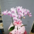 가람하이츠 이미지