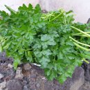 프라비타 민박 이미지