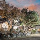 모닝펠리스 이미지