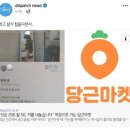 하대동166 이미지