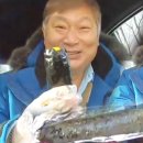 뚱채김밥 이미지