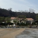 카페로더 - 금정구 범어천로52번길 38 | 고양시 덕양구 대형카페 로더우드 베이커리 카페 후기 (숲속 감성 데이트 추천)