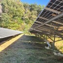 멧돼지 태양광발전소 이미지