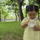 🌱 씨앗폭탄(Seed Ball) 만들고 자연으로! 이미지