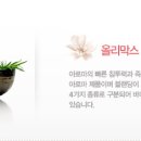 챠밍캠프