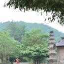 운주사 Daum카페